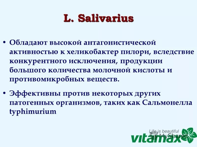 Лактобактерии булгарикус препараты. Хеликобактер пробиотики. №28. Препарат из индии от хеликобактер. Препарат из индии от хеликобактер.
