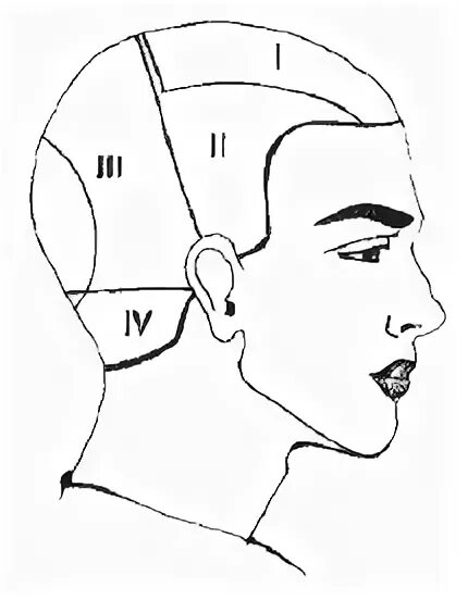 Зона затылка. Зоны и проборы головы для парикмахеров. Зоны волосяного Покрова головы схема. Височно теменная зона головы. Основные зоны деления волосяного Покрова головы.
