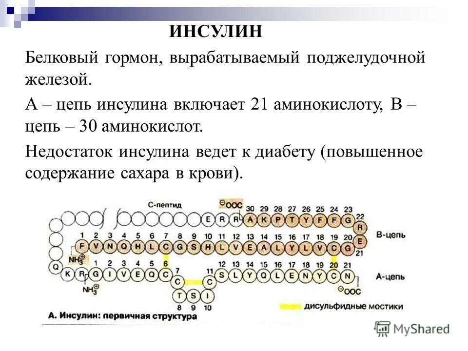 Строение белка инсулина. Инсулин гормон чего. Инсулин гормон чего. Инсулин гормон формула. Свойства инсулина.