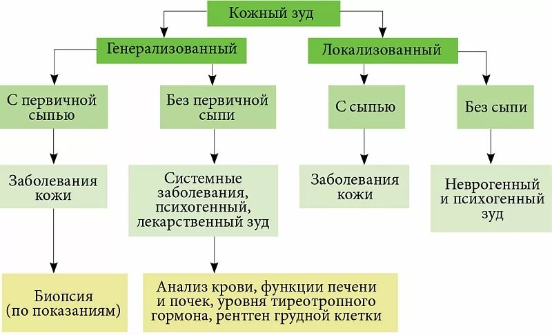 Зуд классификация. Факторы вызывающие кожный зуд. Классификация кожного зуда. Механизм развития кожного зуда. Этиология сыпей