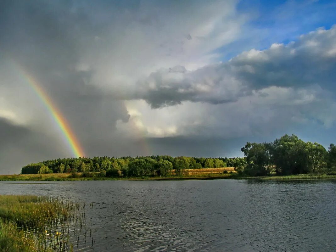 ливень и радуга. радуга после дождя. канал дождь радуга. радуга и солнце. канал дождь радуга.