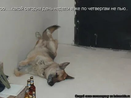 Сегодня тяжелый день