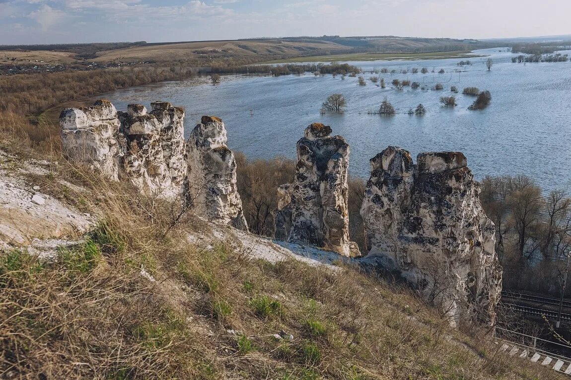 Окрестности дона. Дивногорье Воронежская область Дон. Дивногорье река Дон. Дивногорье Воронежская область река. Река Тихая сосна Воронежская область Дивногорье.