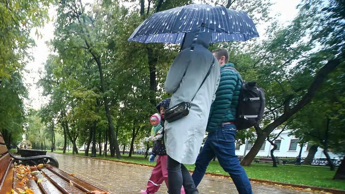 10 00 00 дождь. Дождливый сентябрь. Дождливый день в Москве. Сильный ветер. Дождь в Москве вчера.