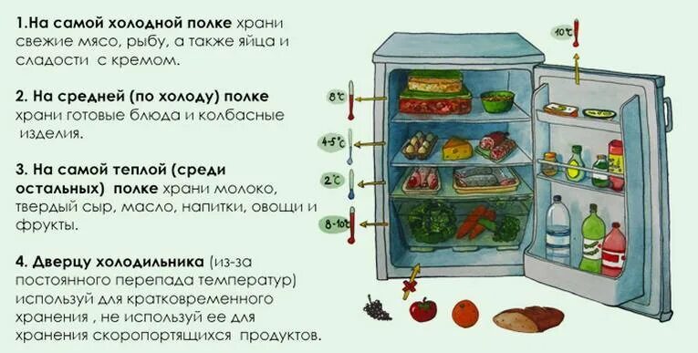 Схема хранения продуктов в холодильнике. Товарное соседство в холодильнике. Правила хранения продуктов в холодильнике. Правило хранение продуктов в холодильнике. Почему сыр хранят в холодильнике