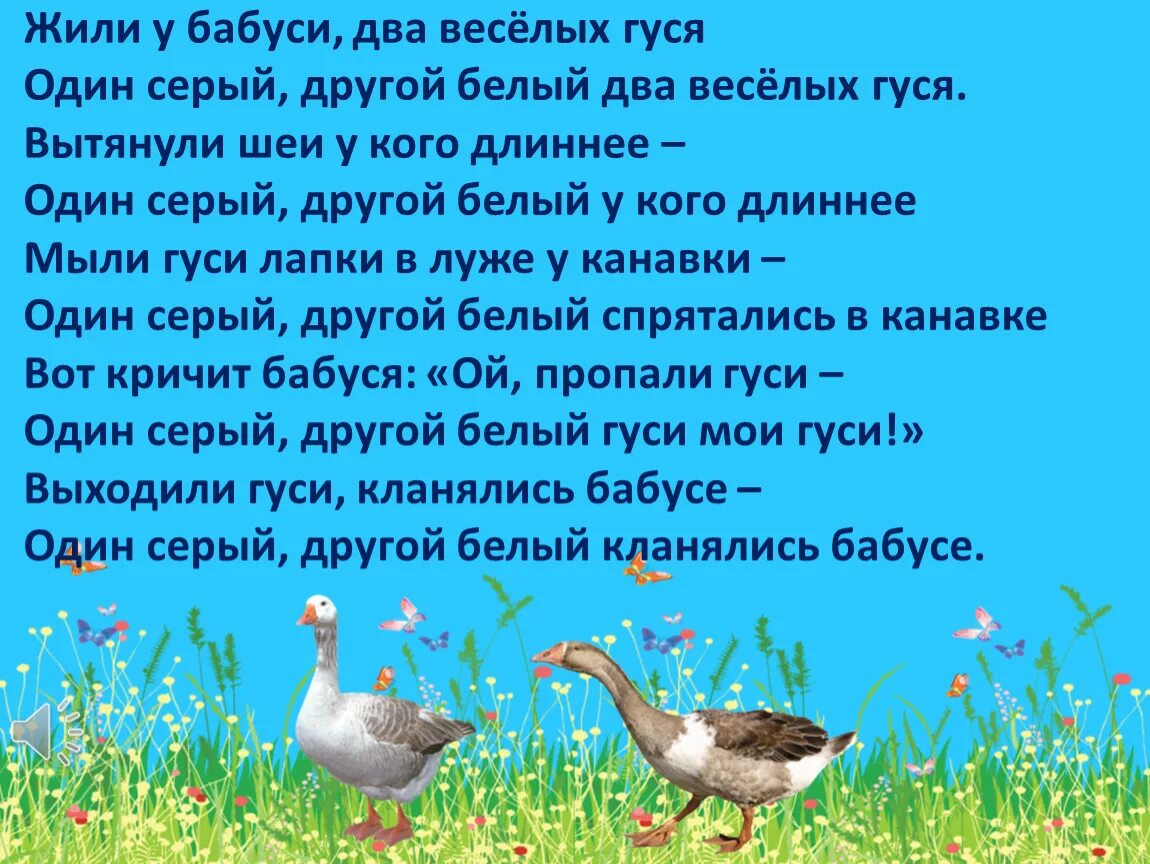 Жил бабуси два веселых гуся. Сказка жили у бабуси 2 веселых гуся. Жили у бабуси два веселых гуся стих. Стих жили у бабуси 2 веселых гуся. Гуси один серый другой белый.