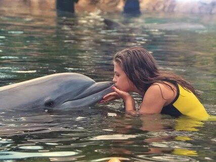 Marine wildlife
