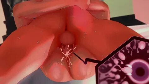 Slideshow 3d x-ray porn.