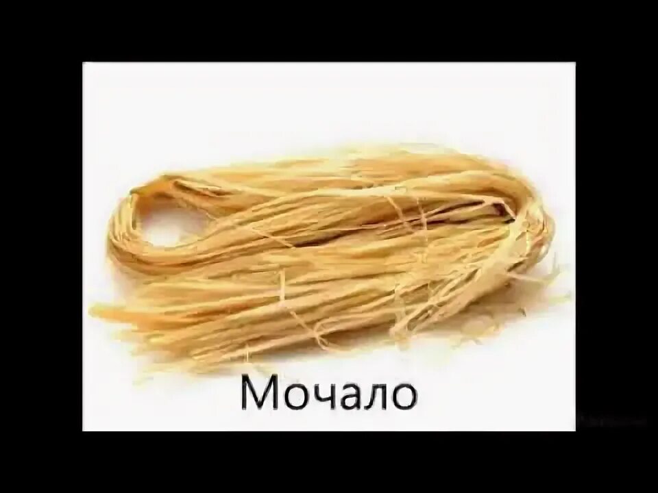 Что значит мочала. Что значит мочала