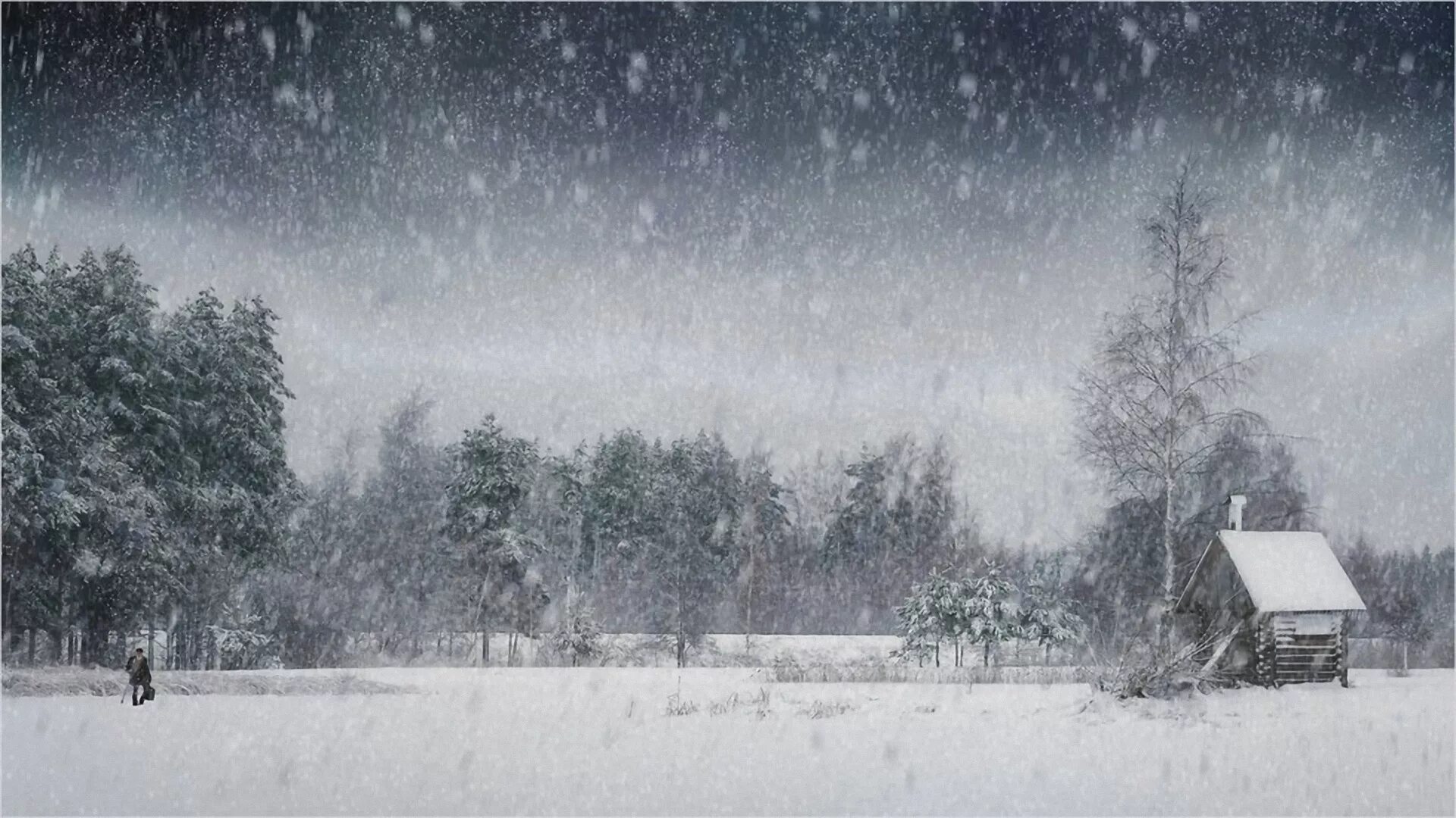 Снегопад шепот. Зима вьюга. Снегопад. Зима снегопад. Снегопад фото.