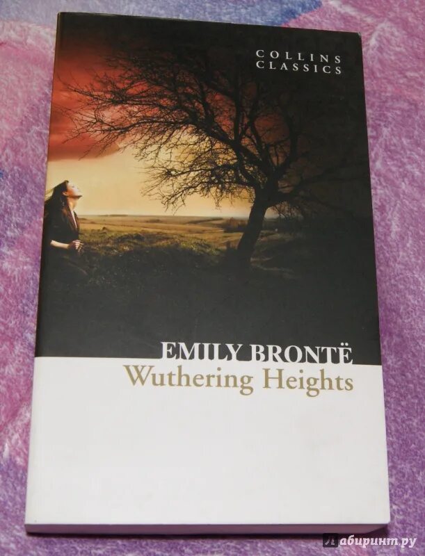 Русский язык wuthering. Крафика в wuthering heights. Wuthering waves персонажи. Wuthering heights book cover. Русский язык wuthering.