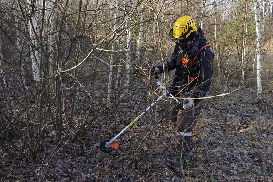 Очистка участка от деревьев. Вырубка кустарников покос травы. Расчистка участков мелколесья. Расчистка участка от деревьев и кустарников. Спил деревьев на участке.