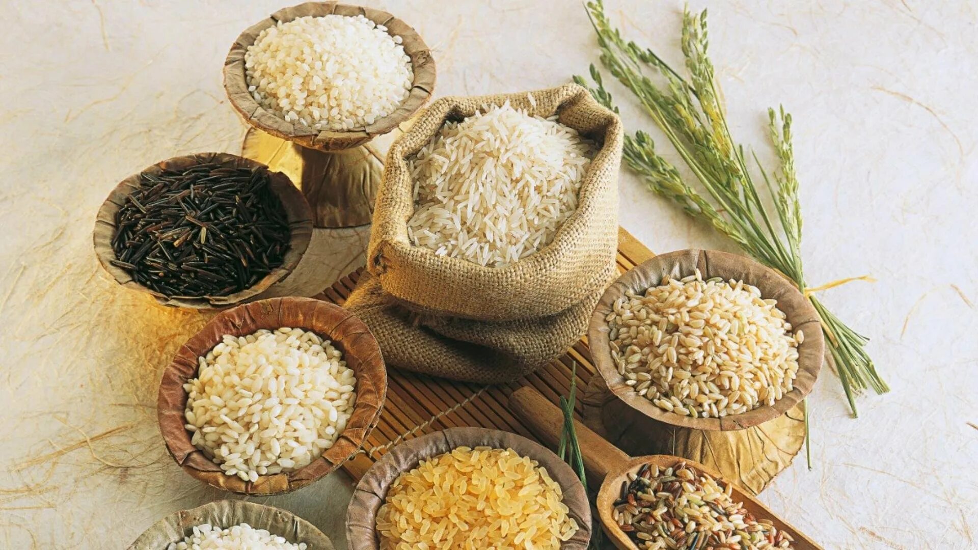 Виды крупы рис. Рис крупа. Виды риса с фото. Крупы. Осман сорт риса.