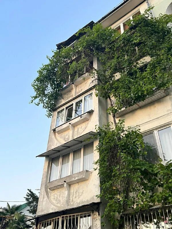 контраст сочи