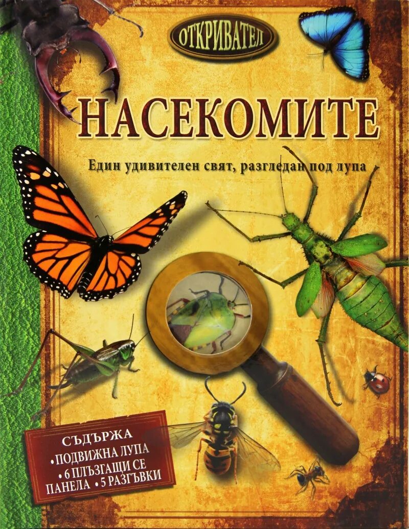 Тайна жизни насекомых. Книга про насекомых. Тайны и загадки насекомых. Удивительные насекомые книга. Энциклопедия для детей с лупой.