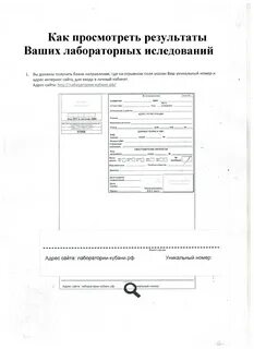 Анализы лаборатории кубани