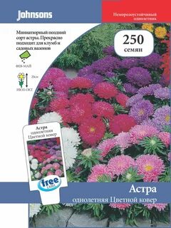 Астрой ковров