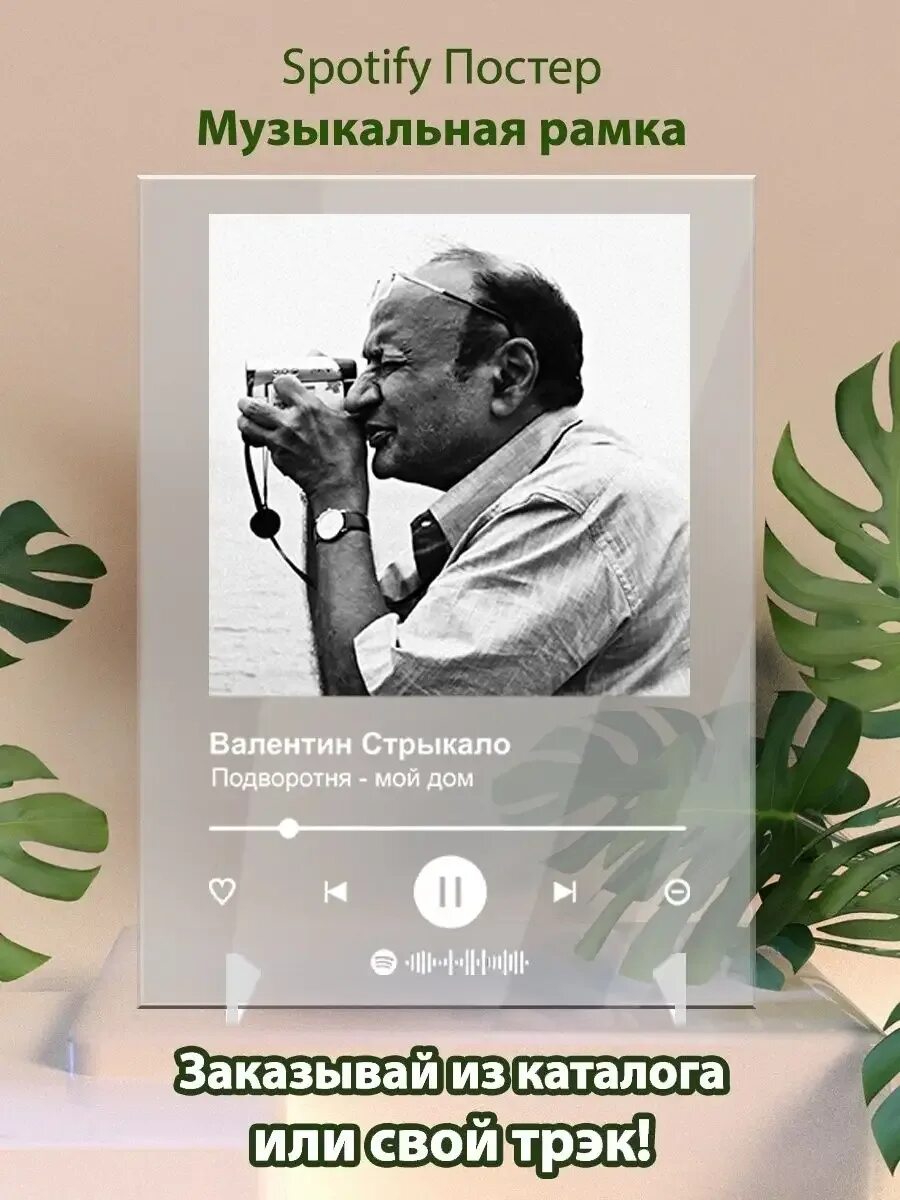 Текст песни друзья стрыкало. Стрыкало наше лето текст. Аккорды для гитары. Текст песни друзья стрыкало. Текст песни друзья стрыкало.