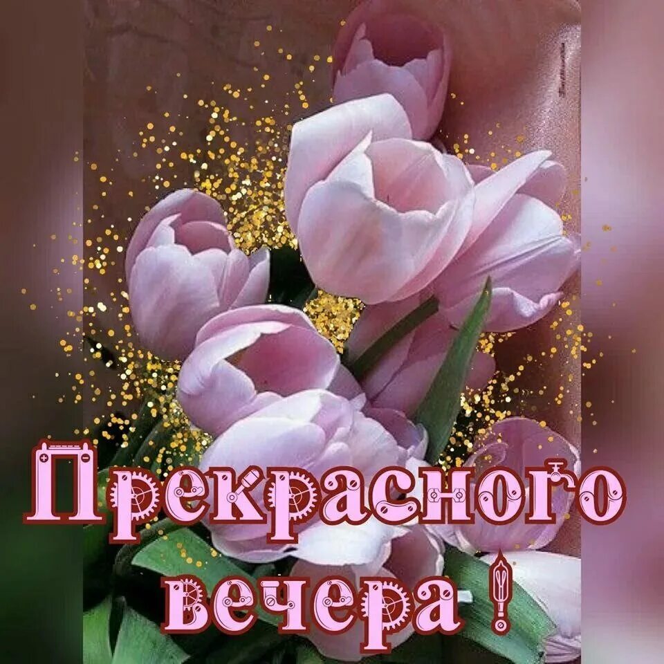 Открытка с добром вечером. Красивые открытки добрый вечер женщине. Поздравление с добрым вечером. Доздравле с добрым вечером. Добрый вечер картинки красивые.