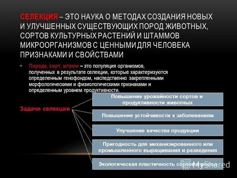 Селекция это наука о методах создания новых. Сорт и порода. Селекция это наука о. Селекция это наука о. Понятие селекции.