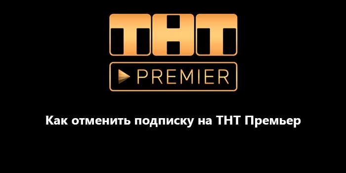 Тнт премьер на телевизоре. ТНТ премьер. ТНТ премьер логотип. Премьеры на ТНТ премьер. Реклама ТНТ премьер.