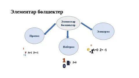 Жыныс және толық қуық