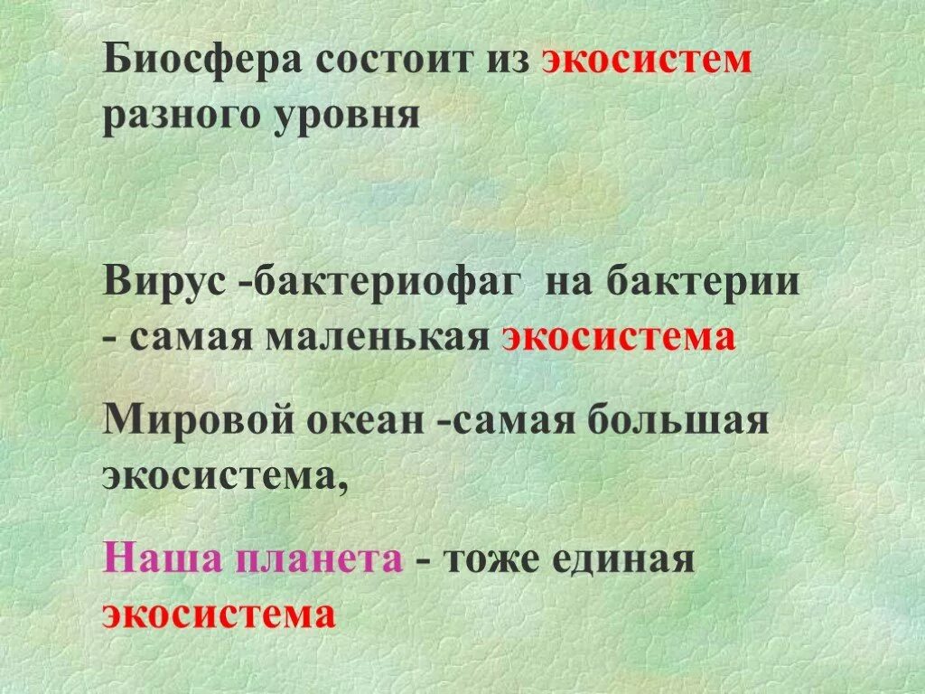 Самая большая экосистема на земле. Биосфера состоит из экосистем. Биосфера состоит из биогеоценозов. Назовите наиболее глобальную и самую маленькую экосистему.. Самая маленькая экосистема.