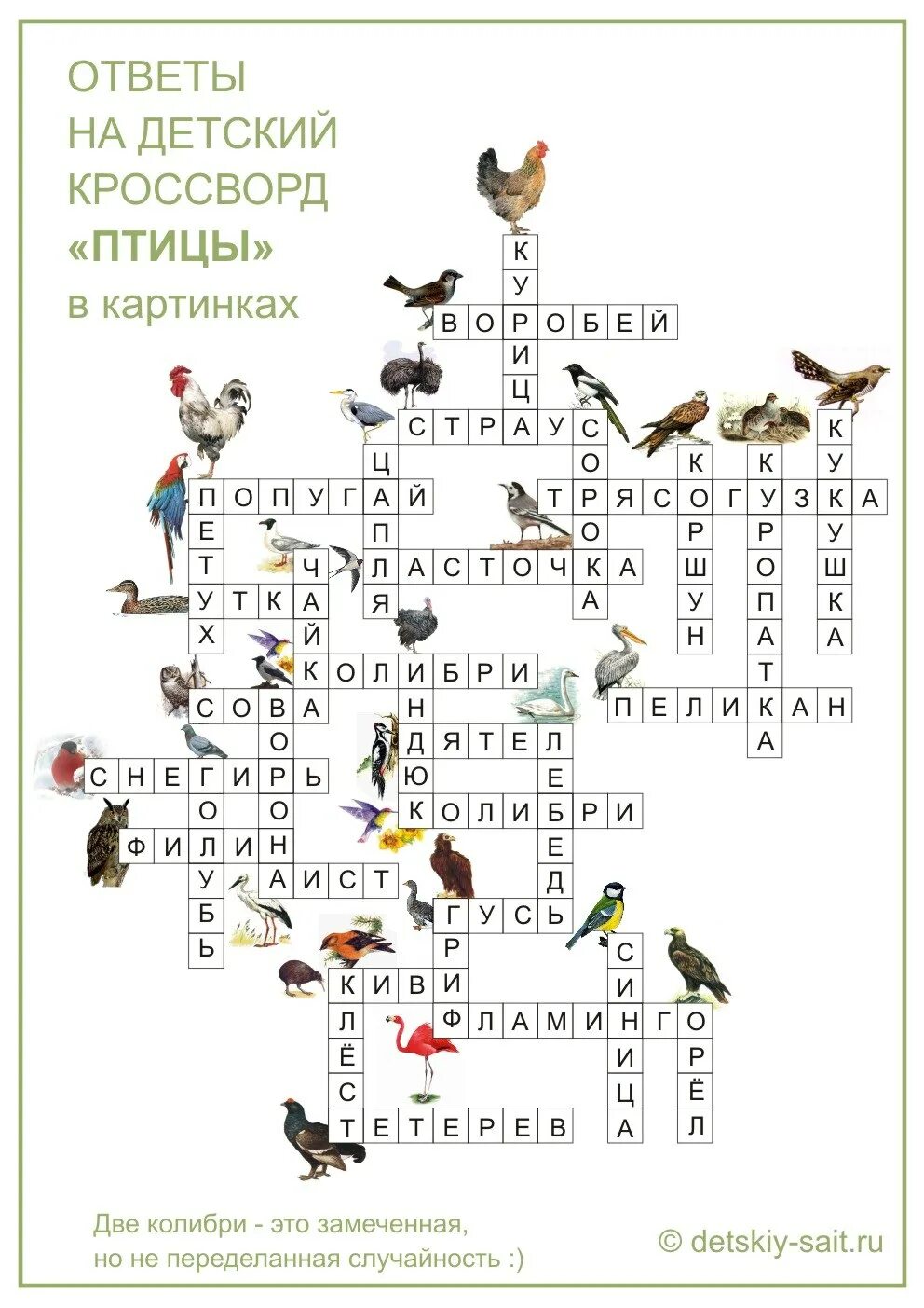 Кроссворд про птиц. Кроссворд птицы для дошкольников. Детские кроссворды птицы. Кроссворд про птиц с ответами.