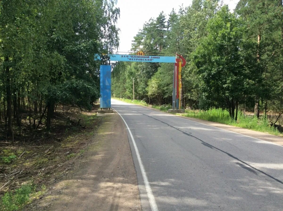 Петровское лен обл. Пос петровское приозерский район. посёлок петровское ленинградская область приозерский район. петровское поселение приозерского района. ленинградская область, приозерский район, поселок петровского.