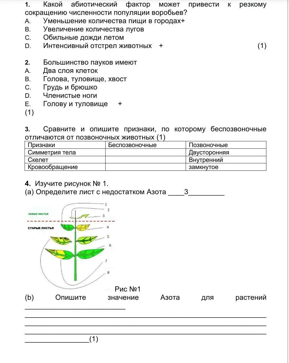 Соч 1 7 класс. Биология 7 класс 1 четверть. Соч по биологии 7 класс 1 четверть. Биология 9 класс 1 четверть. Биология 9 класс темы 1 четверть.