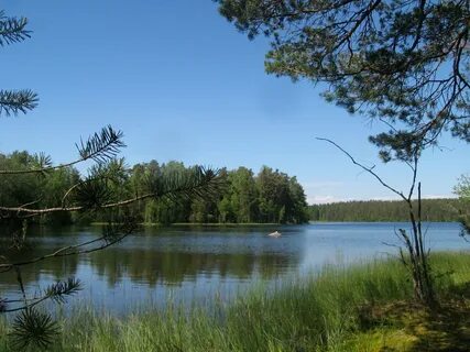 Тарасовское ленинградская область