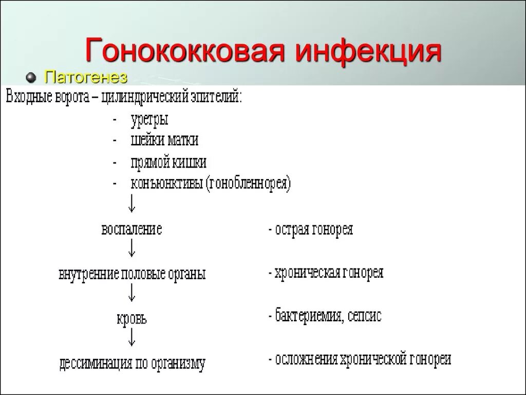 Схема патогенез стрептококка. Гонококки микробиология патогенез. Патогенез гонококковой инфекции. Патогенез гонореи схема. Гонорея способ передачи