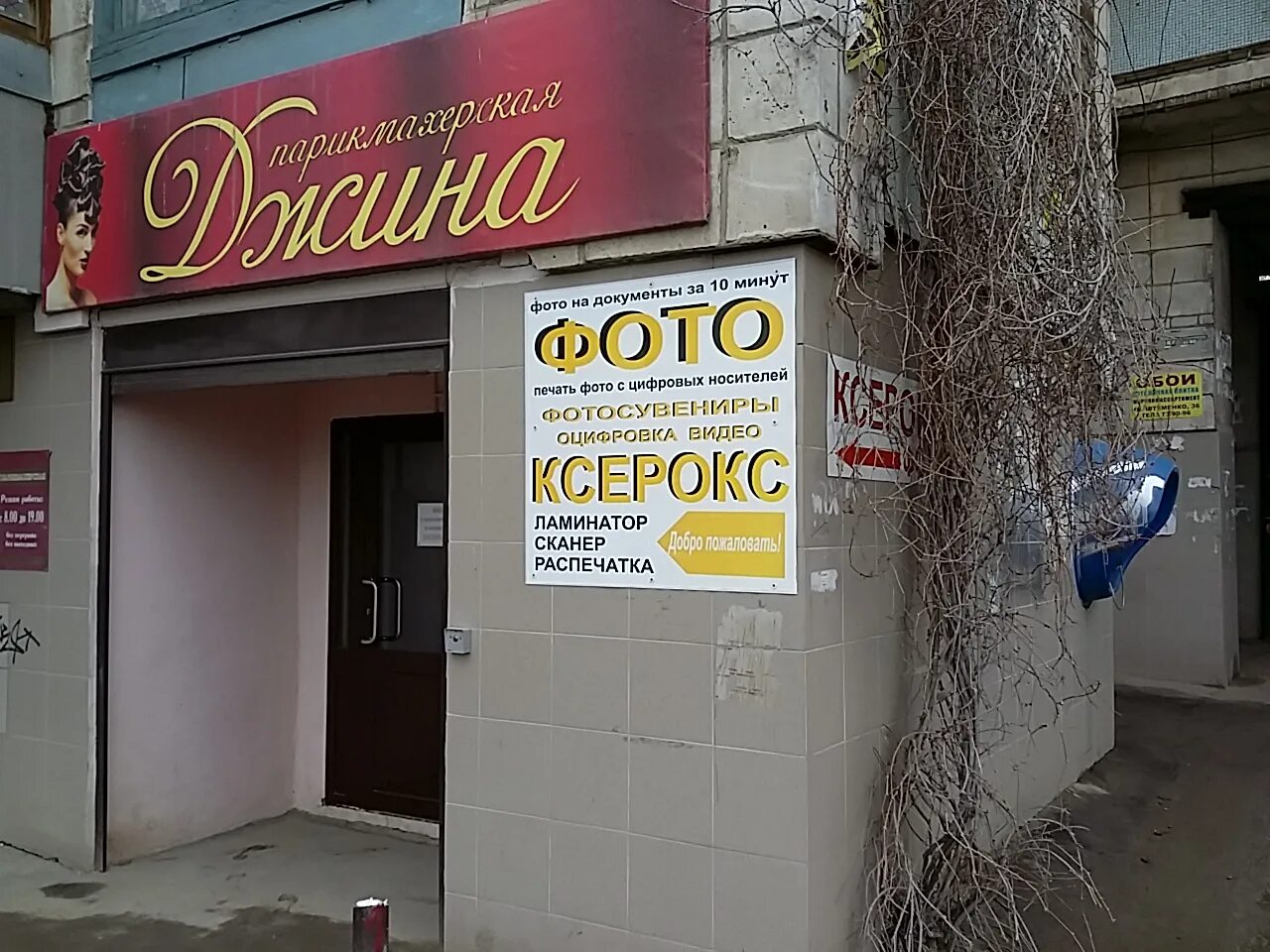 марио волгоград. волгоград ул рокоссовского 52. штеменко 52 волгоград на карте. волгоград ул рокоссовского 52. улица хорошева волгоград.