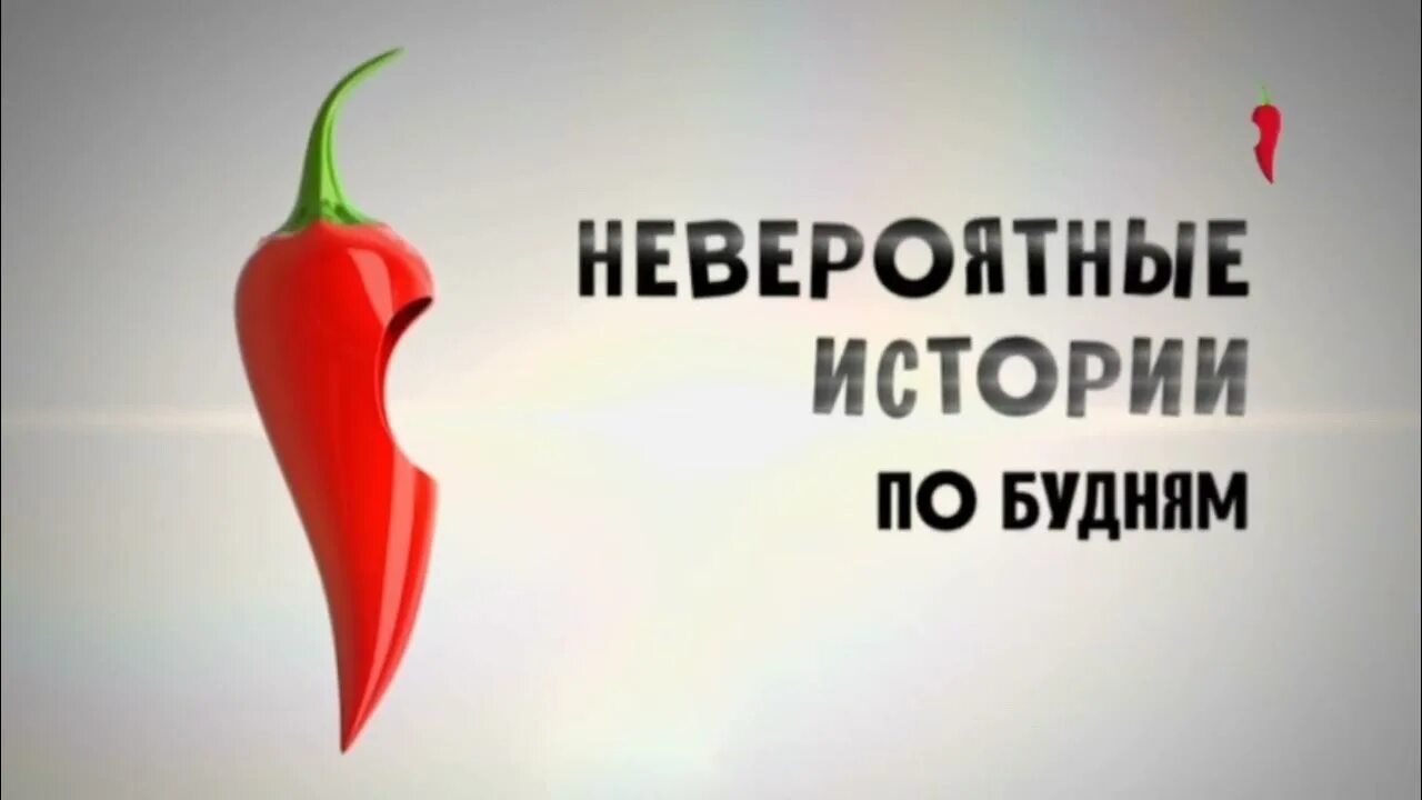 Телепередачи перец. Перец (телеканал). Телеканал перец эфир. Перец реклама. Телеканал перец international.
