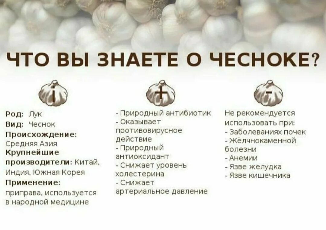 Чесночная вода вред. Чем полезен чеснок. Полезные свойства чеснока. Чеснок польза. Чем полезен чеснок для организма.