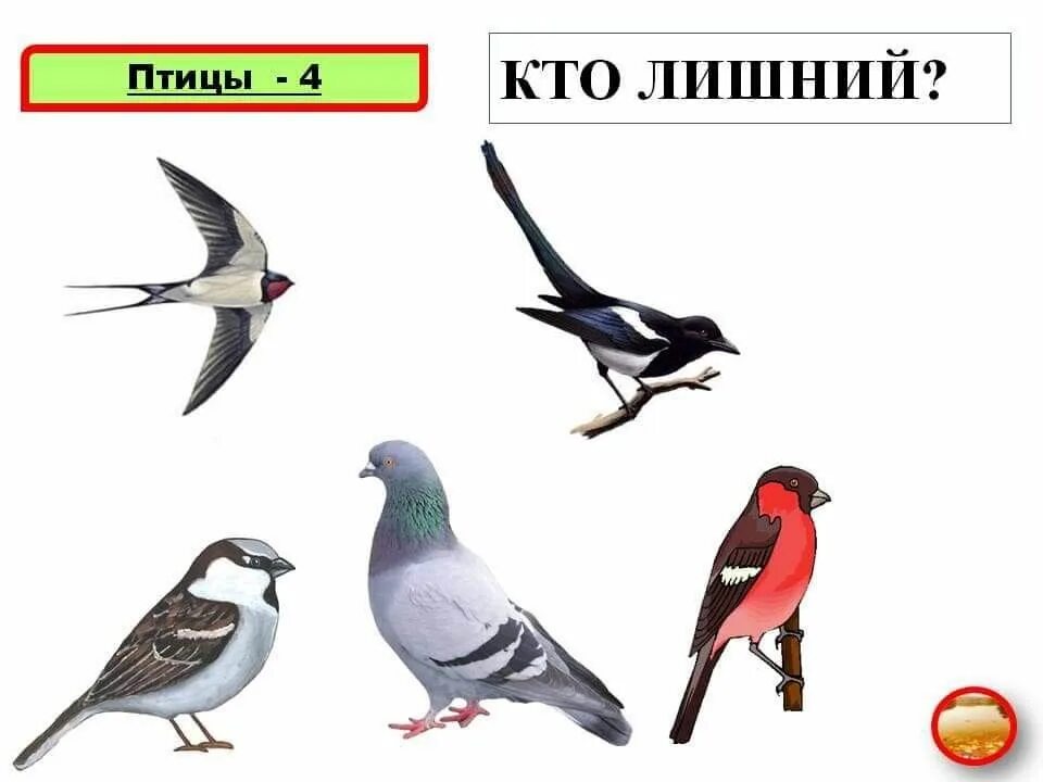 Зимующие птицы четвертый лишний для дошкольников. Перелетные птицы. Какая птица лишняя. Найди лишнюю птицу. Перелетные птицы что лишнее.