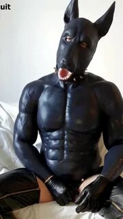 Puppy Costume Porn XXX.
