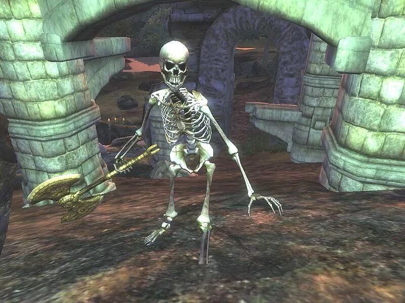The Elder Scrolls 4 Oblivion скелеты. Элдер скролс обливион скелет.