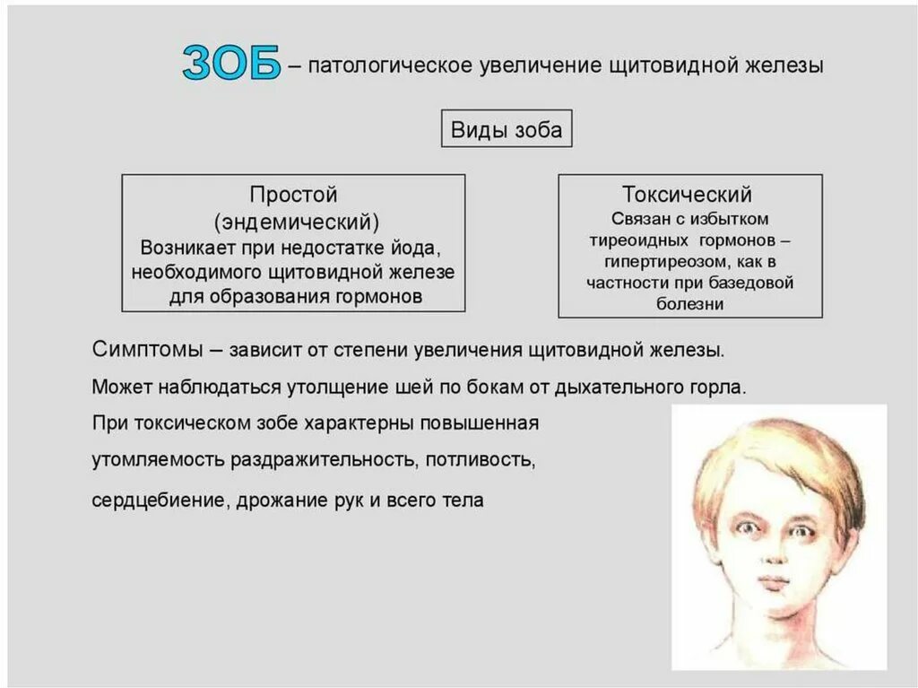 Виды зоба щитовидной железы. Избыток и недостаток гормонов щитовидной железы.