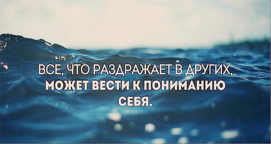 Психология цитаты и высказывания. Афоризмы про понимание. Принятие цитаты. Высказывания психологов.