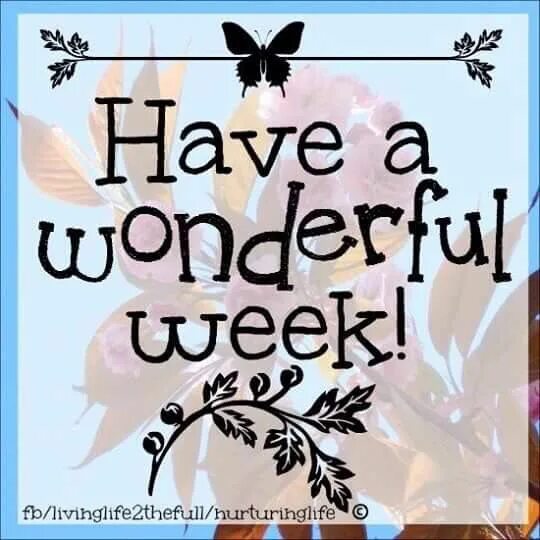 Have a wonderful week. Have a wonderful week good morning. Have a wonderful Monday. Week wonderful. Have a great week