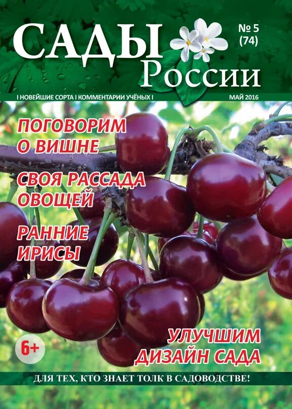 Сады России. Семена сады России Челябинск. Сады России Челябинск саженцы. Челябинский питомник сады России интернет магазин. Сайт сады россии челябинск каталог