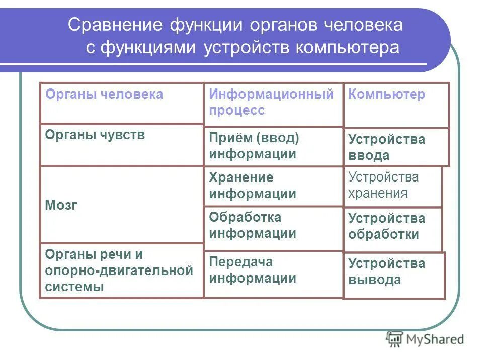 Таблица органы человека информационный процесс устройства компьютера. Таблица органы человека информационный процесс устройства компьютера