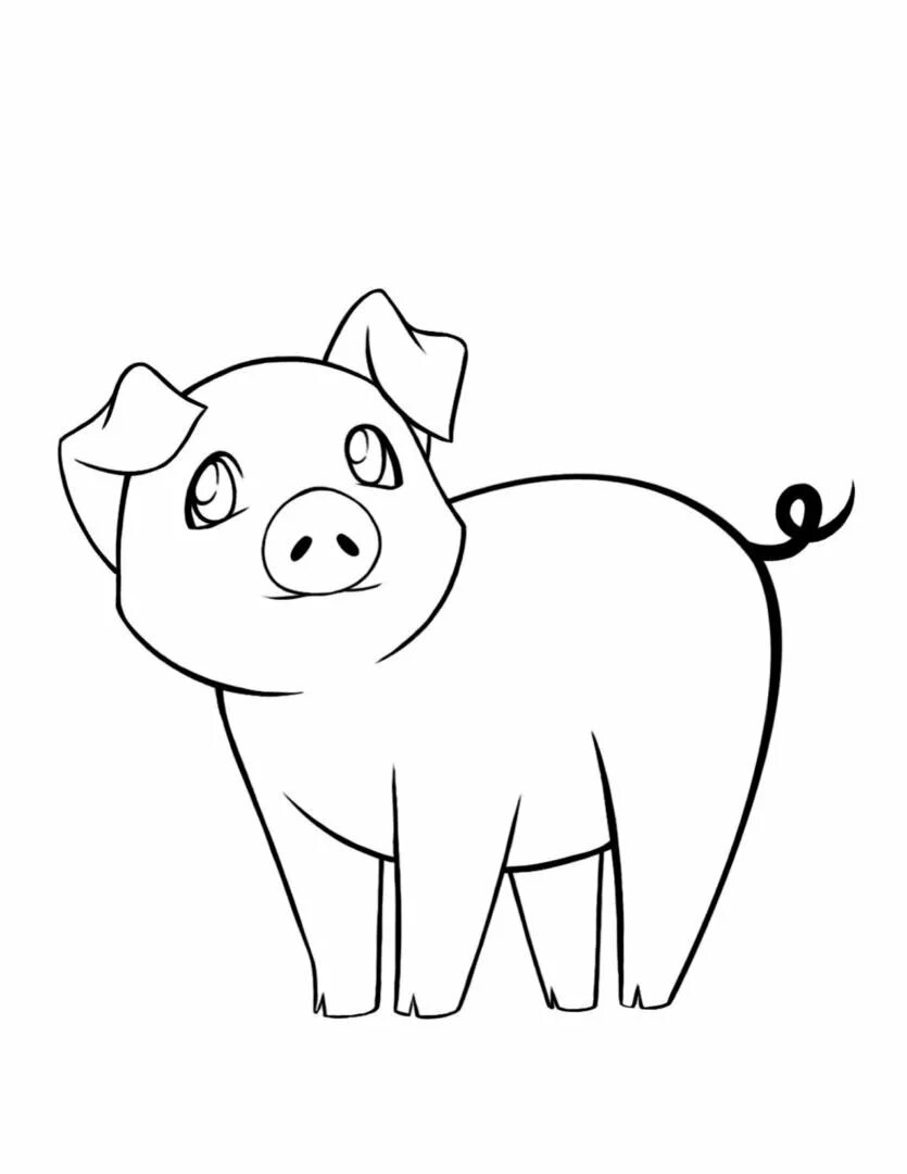 Просто свинка. Свинка рисунок. Свинья рисунок для детей карандашом. Поросенок раскраска для малышей. Лёгкие рисунки свинки.
