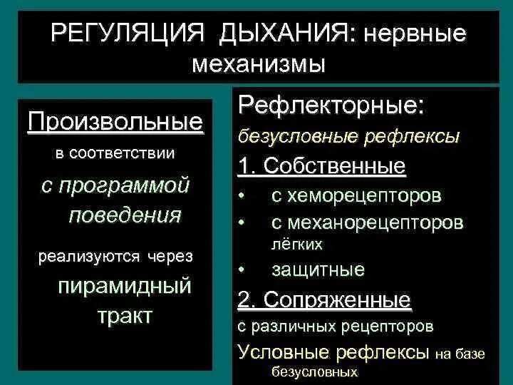 Условно рефлекторная регуляция вентиляции. Условно-рефлекторная регуляция дыхания физиология. Рефлекторный механизм регуляции дыхания. Рефлекторная регуляция дыхания схема.