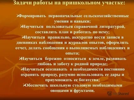 Задачи полевых работ
