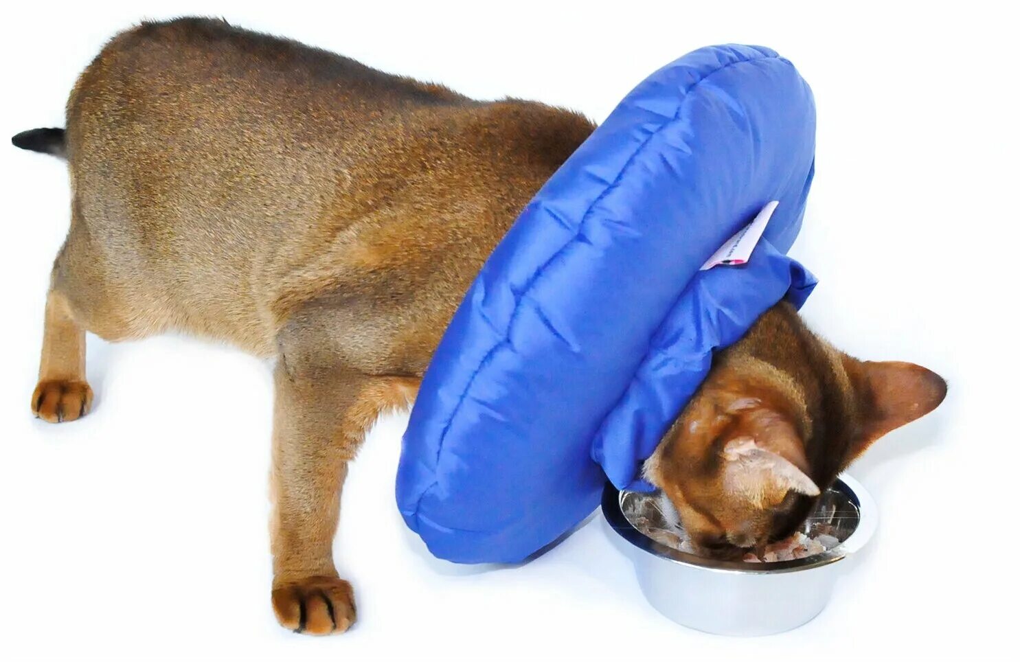 Защитная для кошки. Мягкий воротник для кота. Мягкий воротник для котов. Елизаветинский воротник для кошек. Защитный воротник buster clic 10.