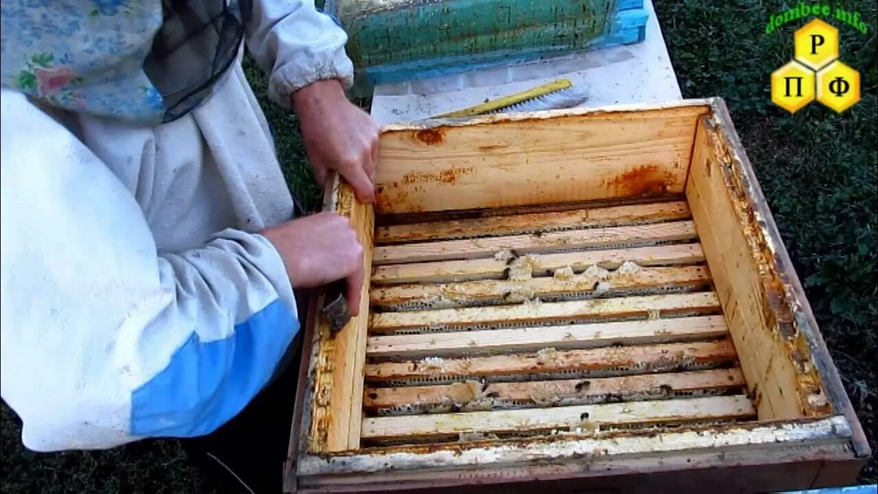 Сушка пчелиных рамок. Выкачка меда из улья. Что делать с рамками после откачки меда. Пчеловод с медогонкой. Рамки после откачки меда.
