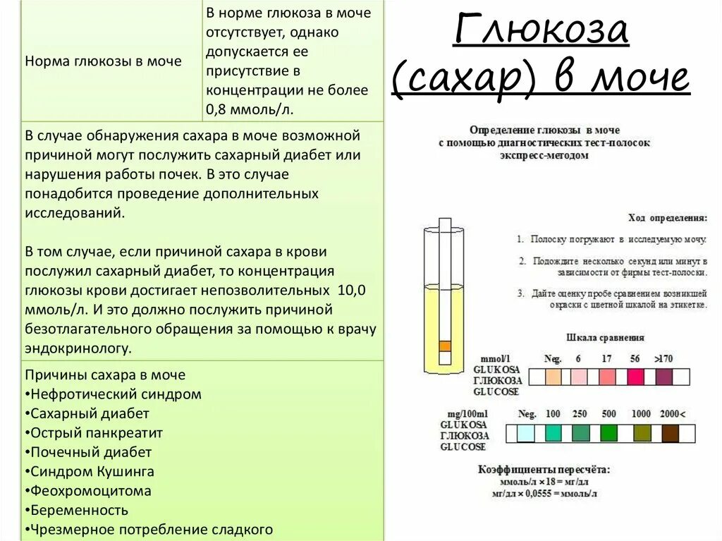 Норма глюкозы в моче