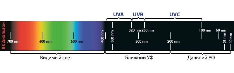 Диапазон УФ излучения длина волны. Длина волны ультрафиолетового излучения. Ультрафиолетовые лучи диапазон. Диапазон длин волн ультрафиолетового излучения.